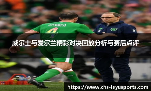 威尔士与爱尔兰精彩对决回放分析与赛后点评