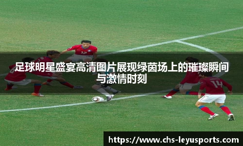 足球明星盛宴高清图片展现绿茵场上的璀璨瞬间与激情时刻